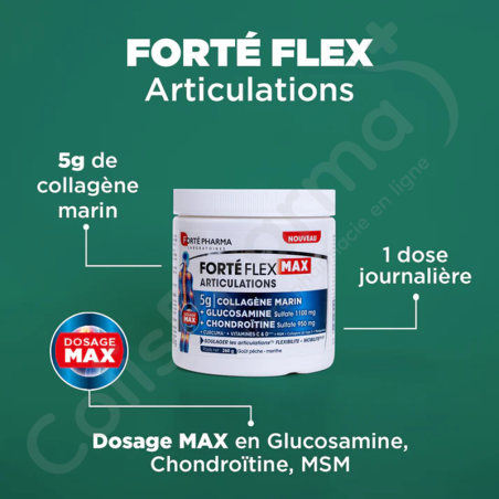 Forté Flex Max Articulations - 260g