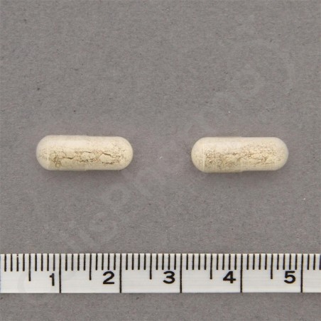 FerroDyn - 90 capsules