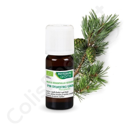 Phytosun Pin Sylvestre - 5 ml