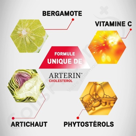 Arterin Cholestérol - 90 + 15 comprimés