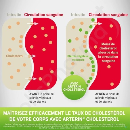 Arterin Cholestérol - 90 + 15 comprimés