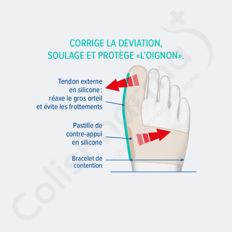 Epitact Orthèse Corrective Hallux Valgus Souple de Jour - Large