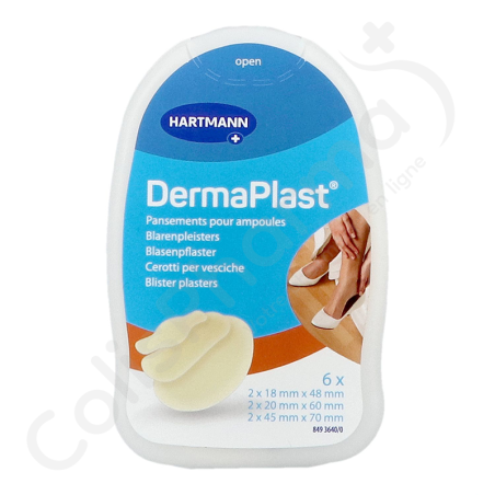 DermaPlast Blarenpleisters Mix Pack - 6 pleisters